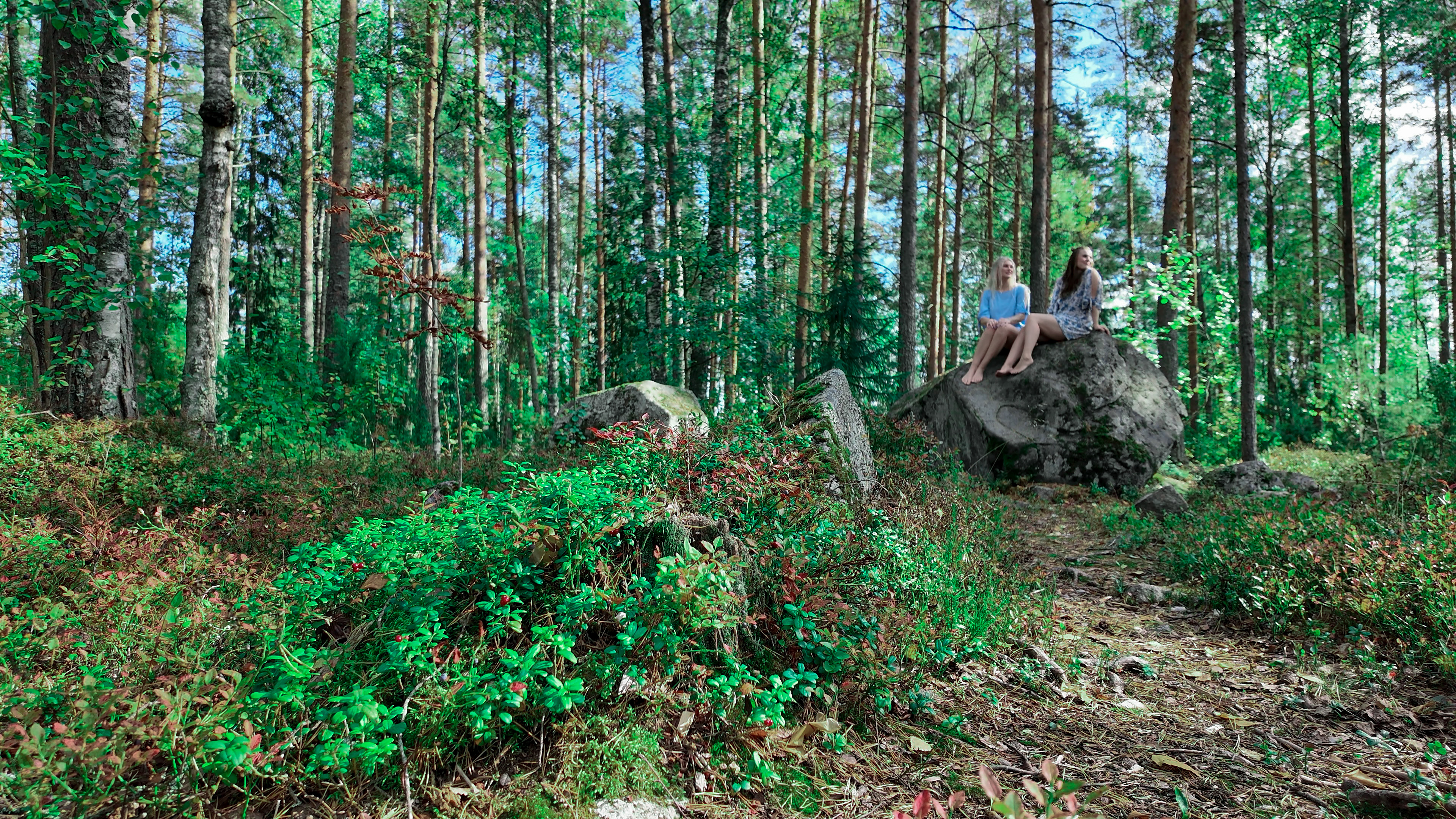 dji export 20251103 photo 0001